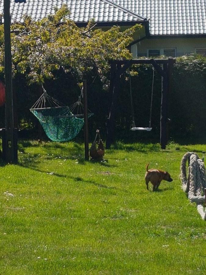 Pokoje Goscinne Irena Mieroszyno Eksteriør billede